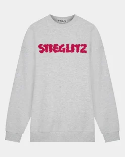 Shop Lois Sweater Grijs Pullis & Sweaters